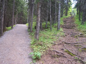 fork-in-the-road