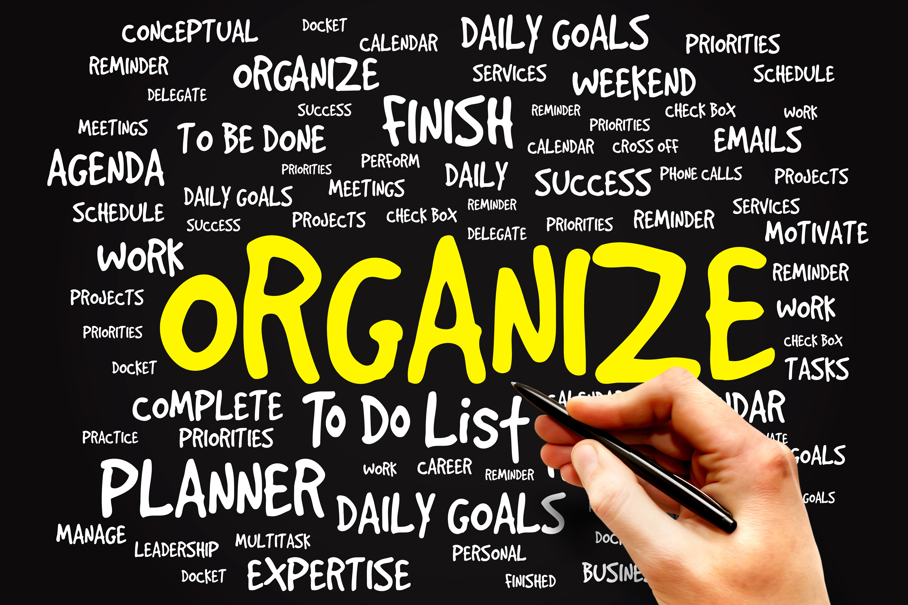 Words For Organized Person